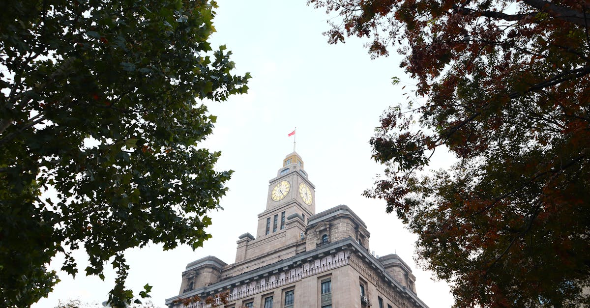 王時齊狠酸盧秀燕:台中市政府只會做政治危機處理?