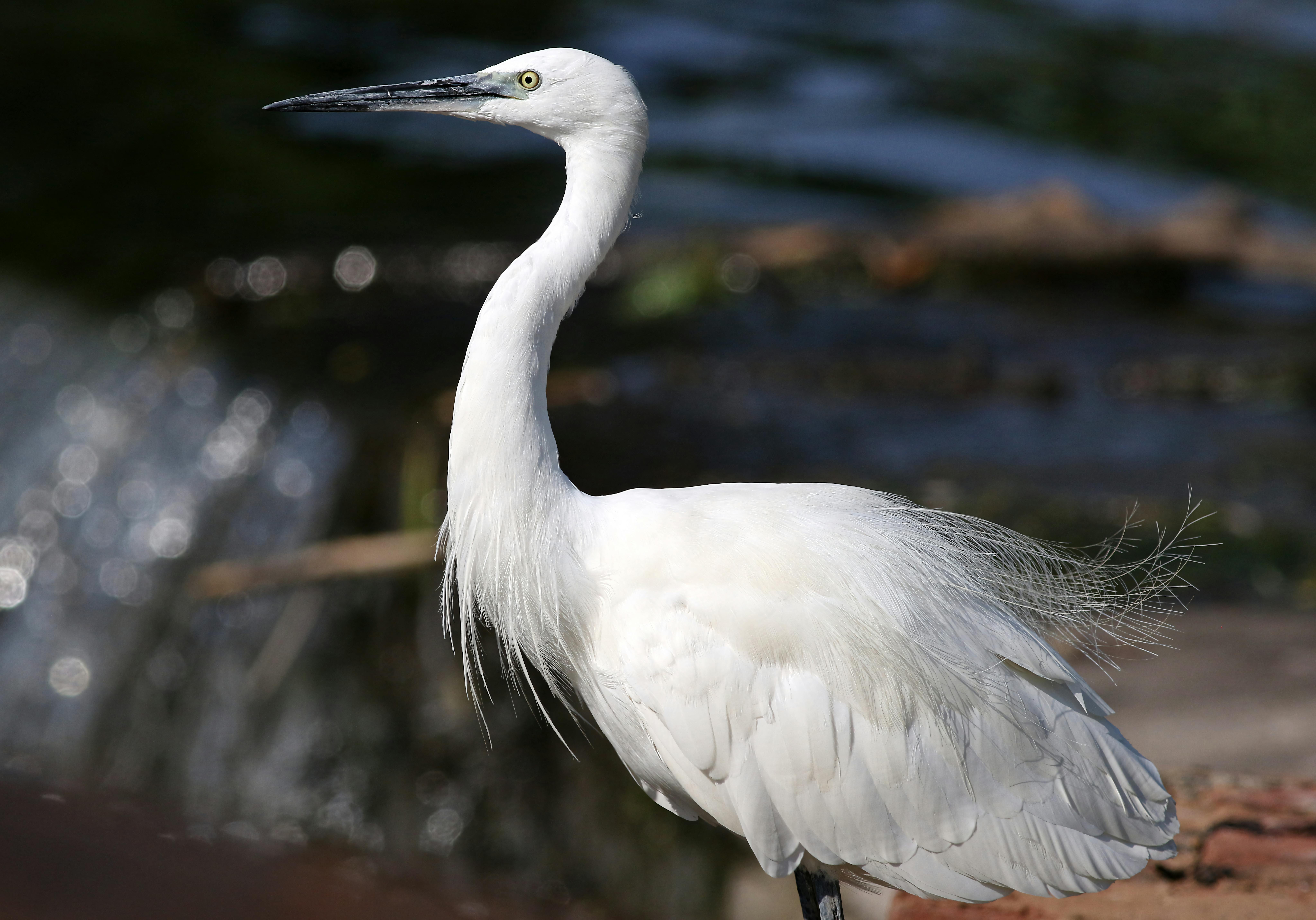 Transform Your Home into a Relaxing Sanctuary: A Complete Guide