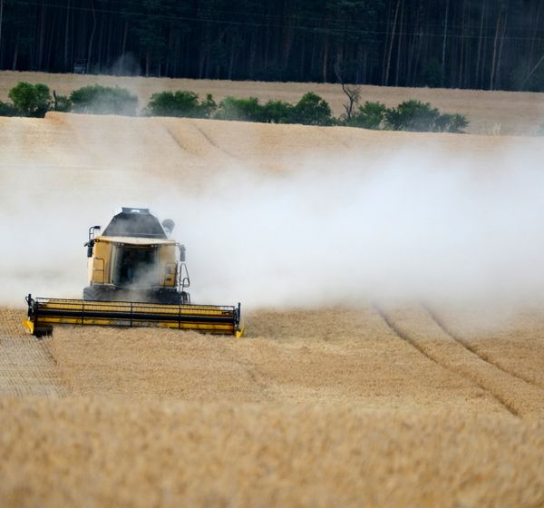 Combine harvester