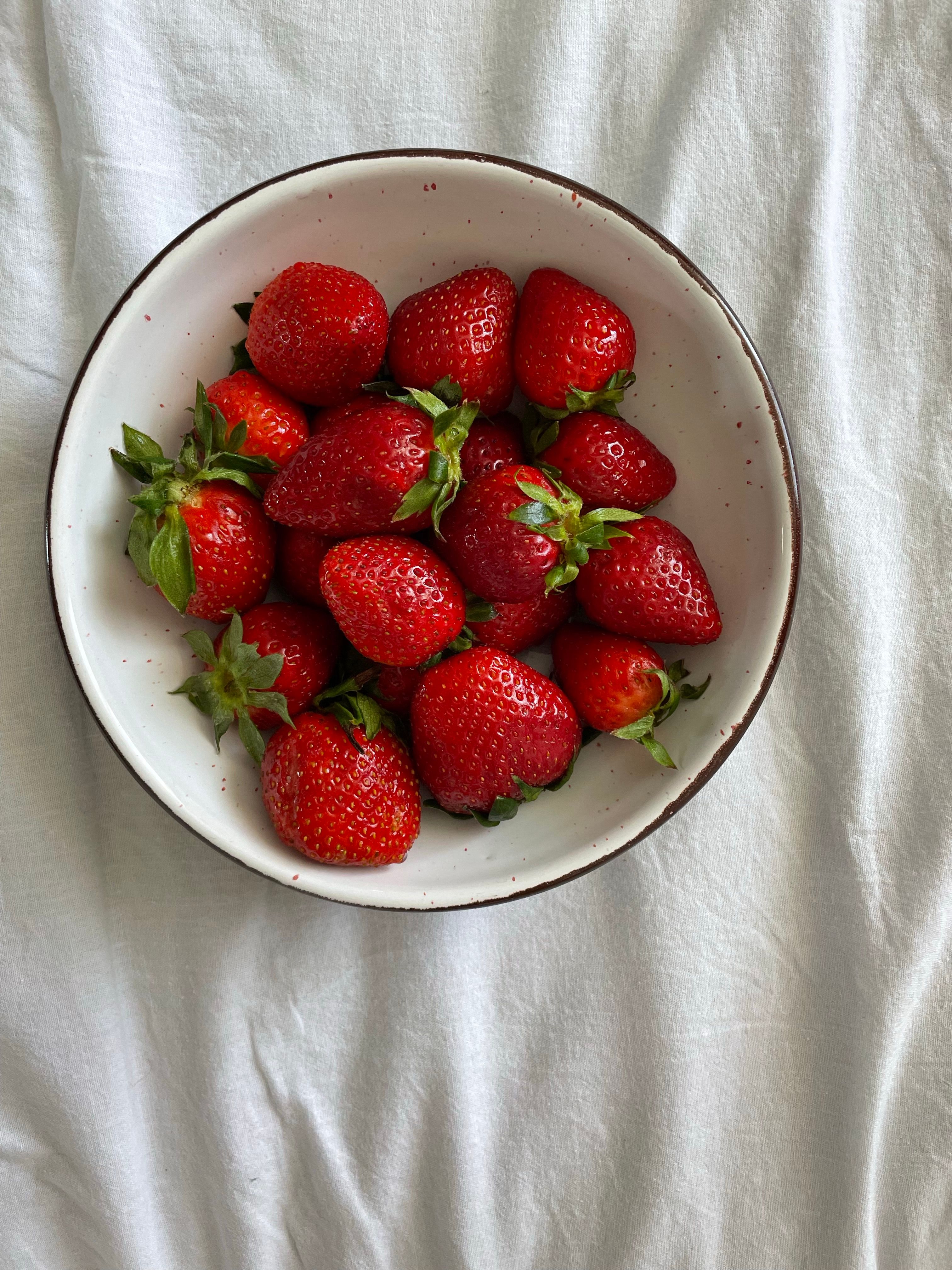 strawberry-elephant-photos-download-the-best-free-strawberry-elephant