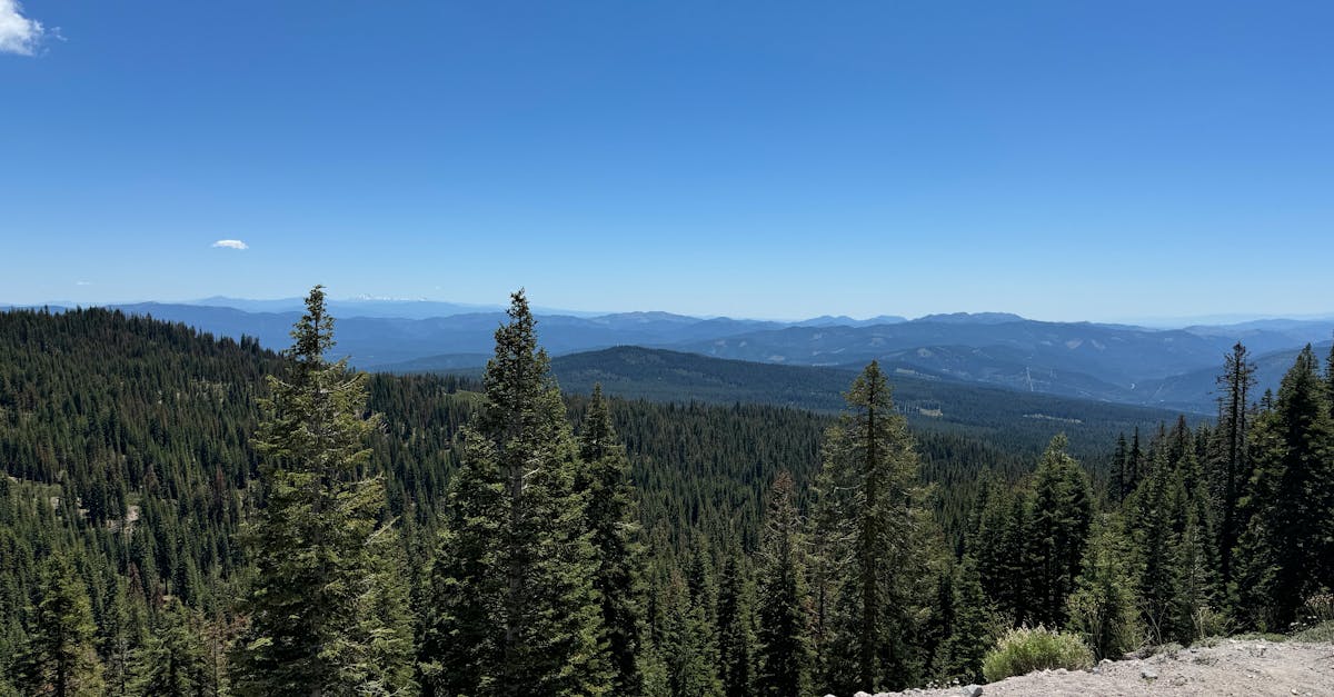 科技:病毒季必備!石頭F25 Ultra淨蒸者×Giaretti奶瓶清洗機46折