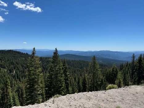 Breathtaking mountain landscape with towering pine trees under a clear blue sky, ideal for nature enthusiasts.