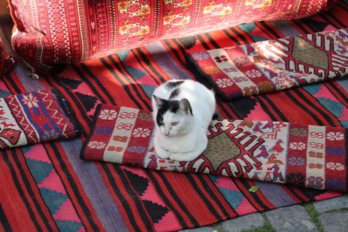 Free Cat resting on colorful Turkish rugs, showcasing traditional patterns in an outdoor setting. Stock Photo