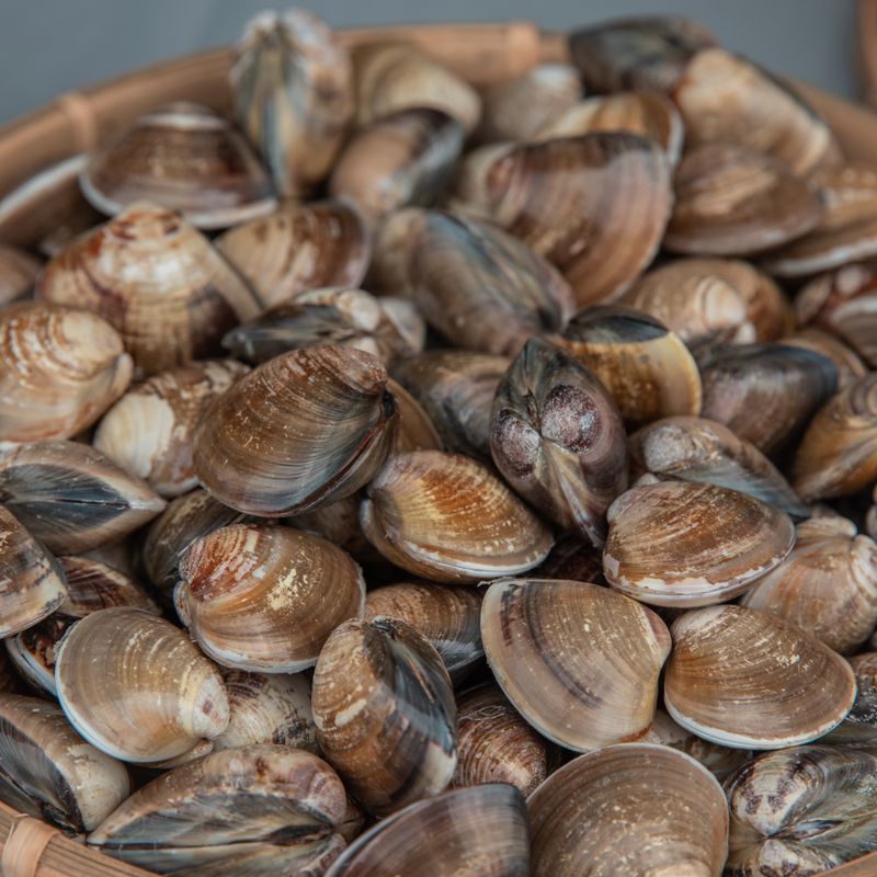 Portuguese White Fish and Clam Couscous