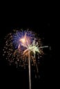 Vibrant Fireworks Burst Against Night Sky
