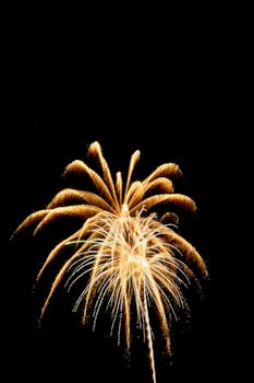 Golden fireworks burst radiantly against a dark night sky, creating a festive display.