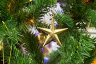 特写镜头聚焦于绿色圣诞树枝上悬挂的金星装饰品，突出节日氛围