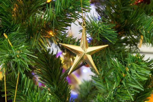 Free Close-up of a gold star ornament hanging on a green Christmas tree branch, highlighting festive decor. Stock Photo