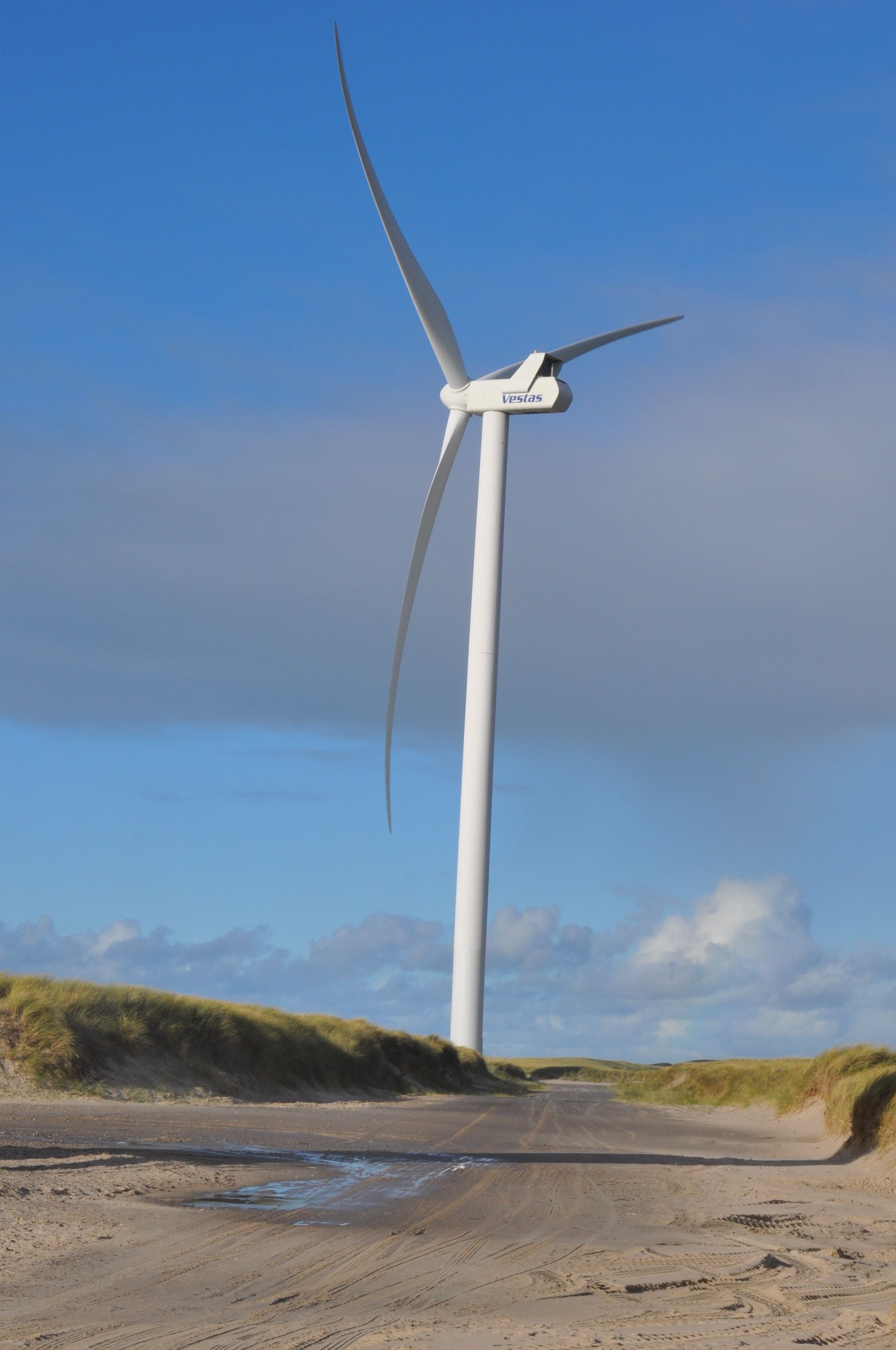 Fotomural Un aerogenerador se alza imponente entre las dunas de arena de Hvide Sande, Dinamarca, bajo un cielo azul brillante.