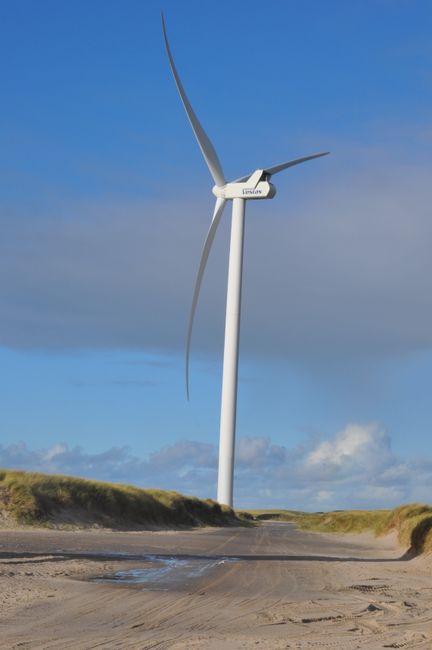 Fotomural Un aerogenerador se alza imponente entre las dunas de arena de Hvide Sande, Dinamarca, bajo un cielo azul brillante.
