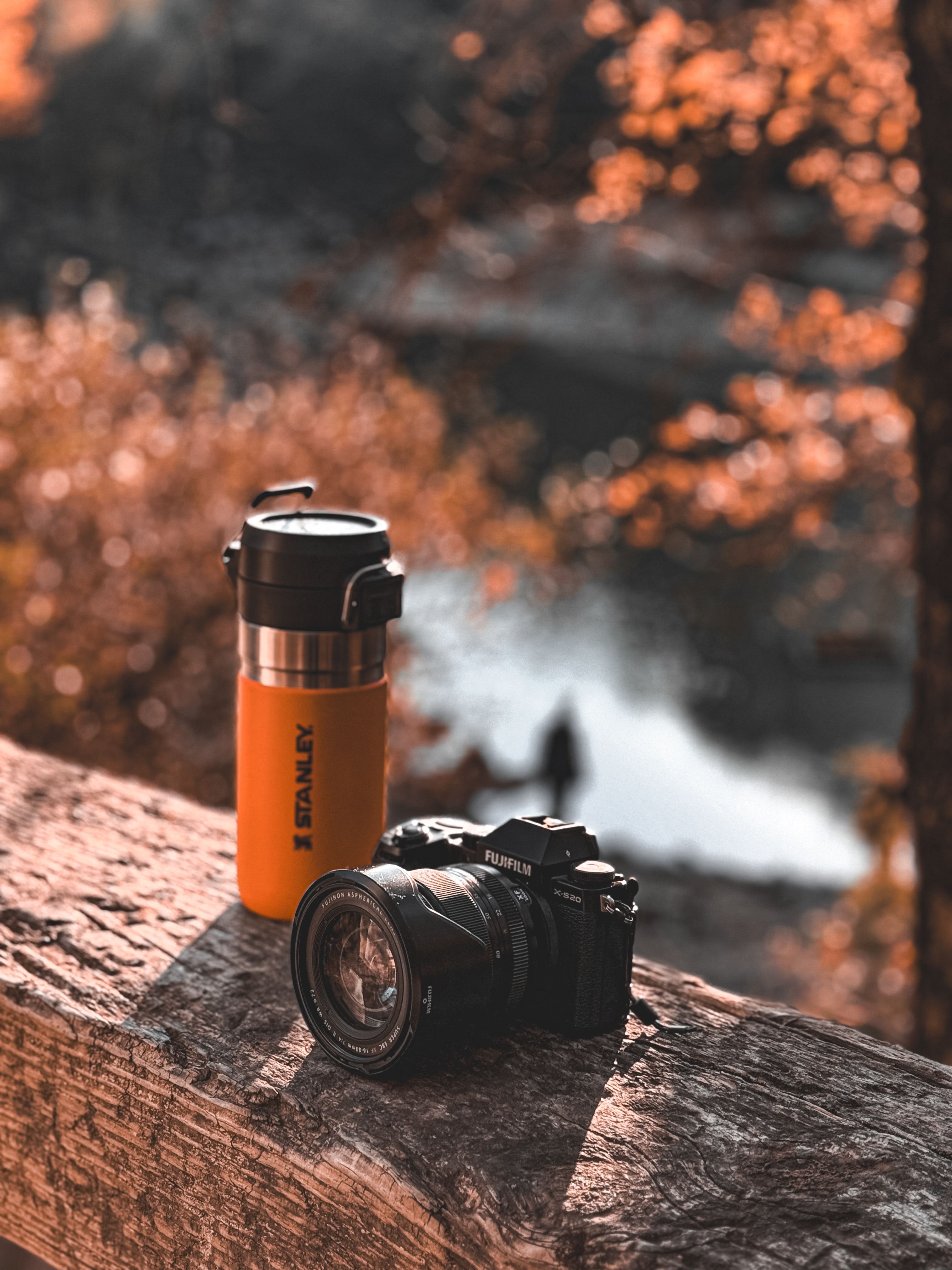 Camera and Mug on Rustic Wood in Autumn · Free Stock Photo