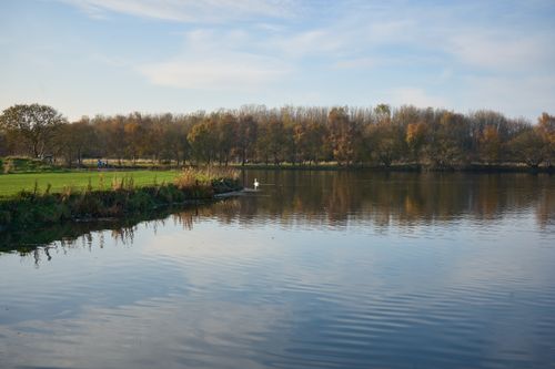 Free Tranquil lake scene in autumn with colorful trees and reflections, perfect for nature lovers. Stock Photo