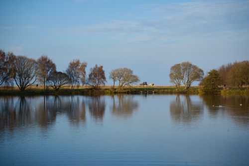 Free A peaceful lake view featuring tree reflections under a blue sky, creating a serene and tranquil scene. Stock Photo