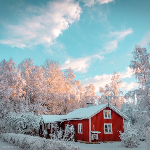 Free House in Forest in Winter Stock Photo