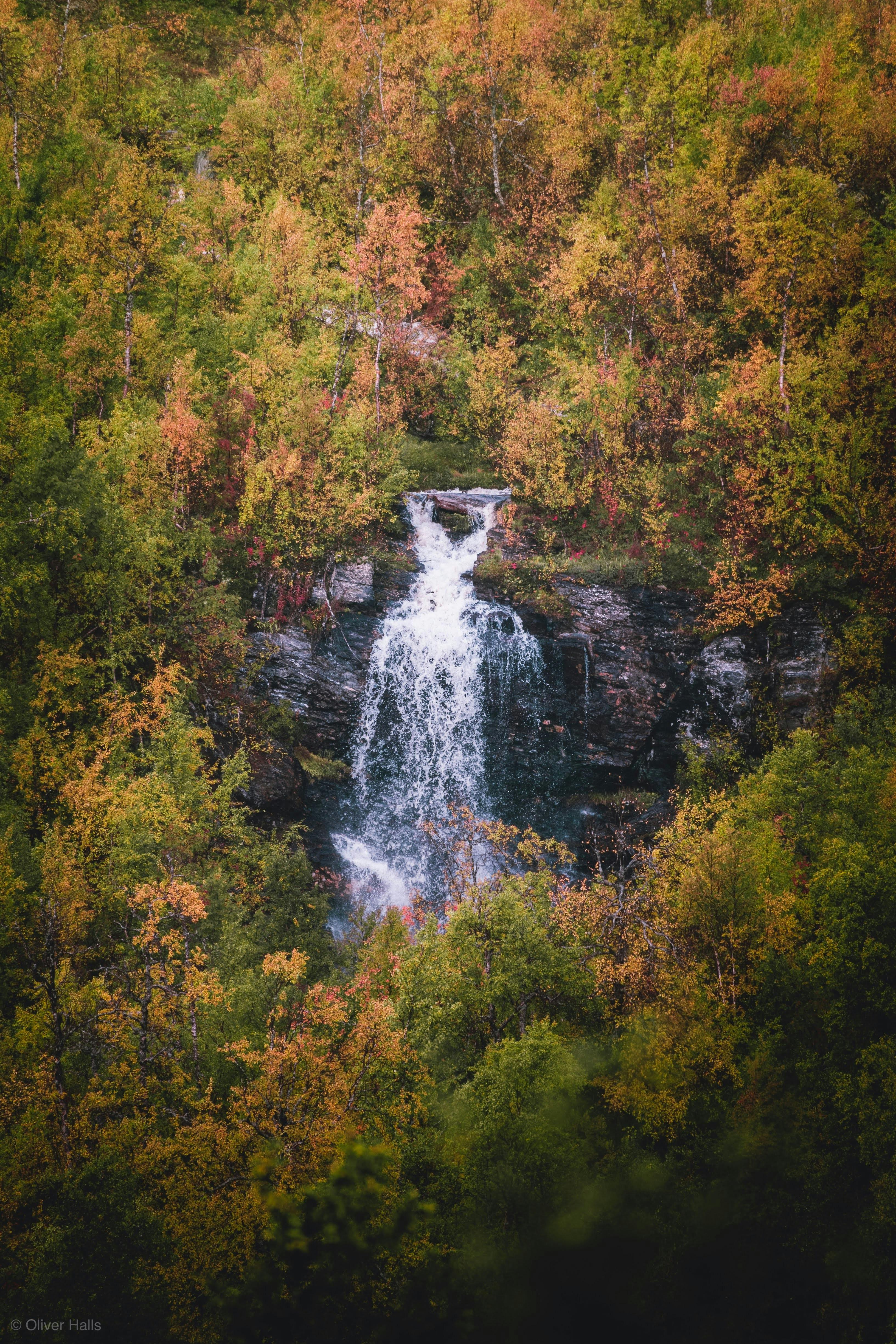 waterfall in forest