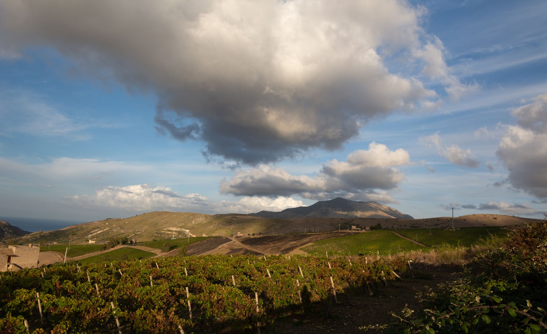 A vast cloud building over dry hills at the end of the afternoon