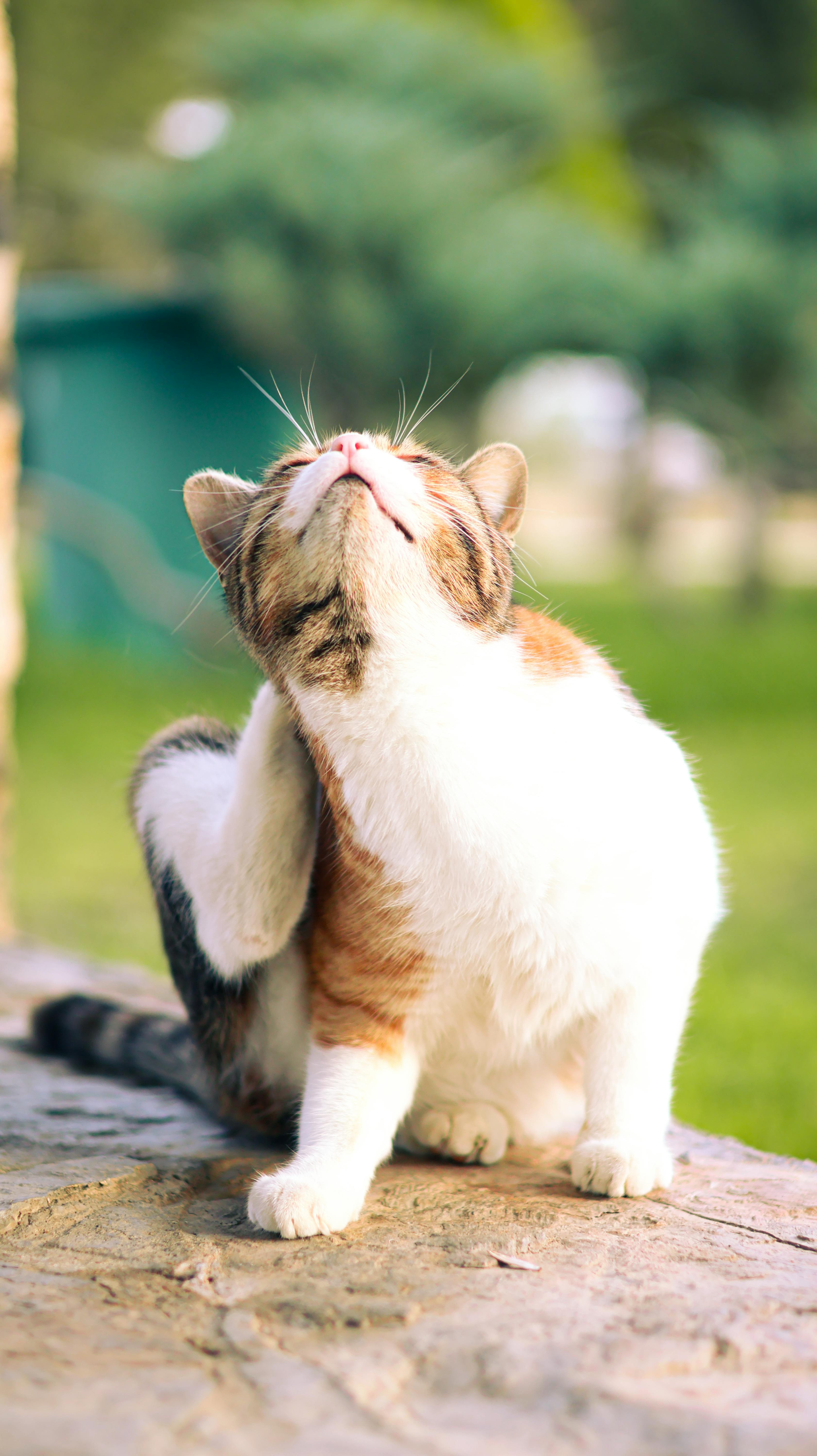 Wie Man Mit Bloggern Verhandelt: Erfolgreiche Strategien Entdecken 3 Die Kunst der Verhandlung: Tipps, um Blogger für Ihre Marke zu gewinnen