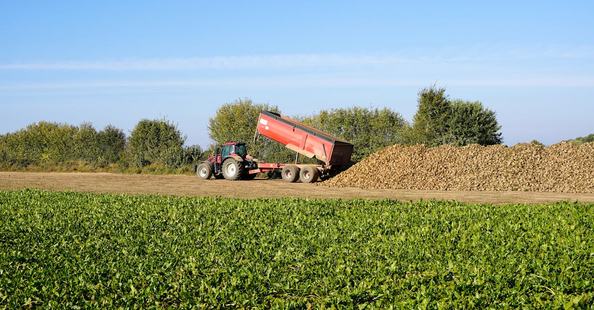 財經:達運光電世代傳承新里程碑 戴家欣接任營運長