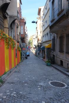 European alley with cobblestones, vibrant plants, and old architecture.