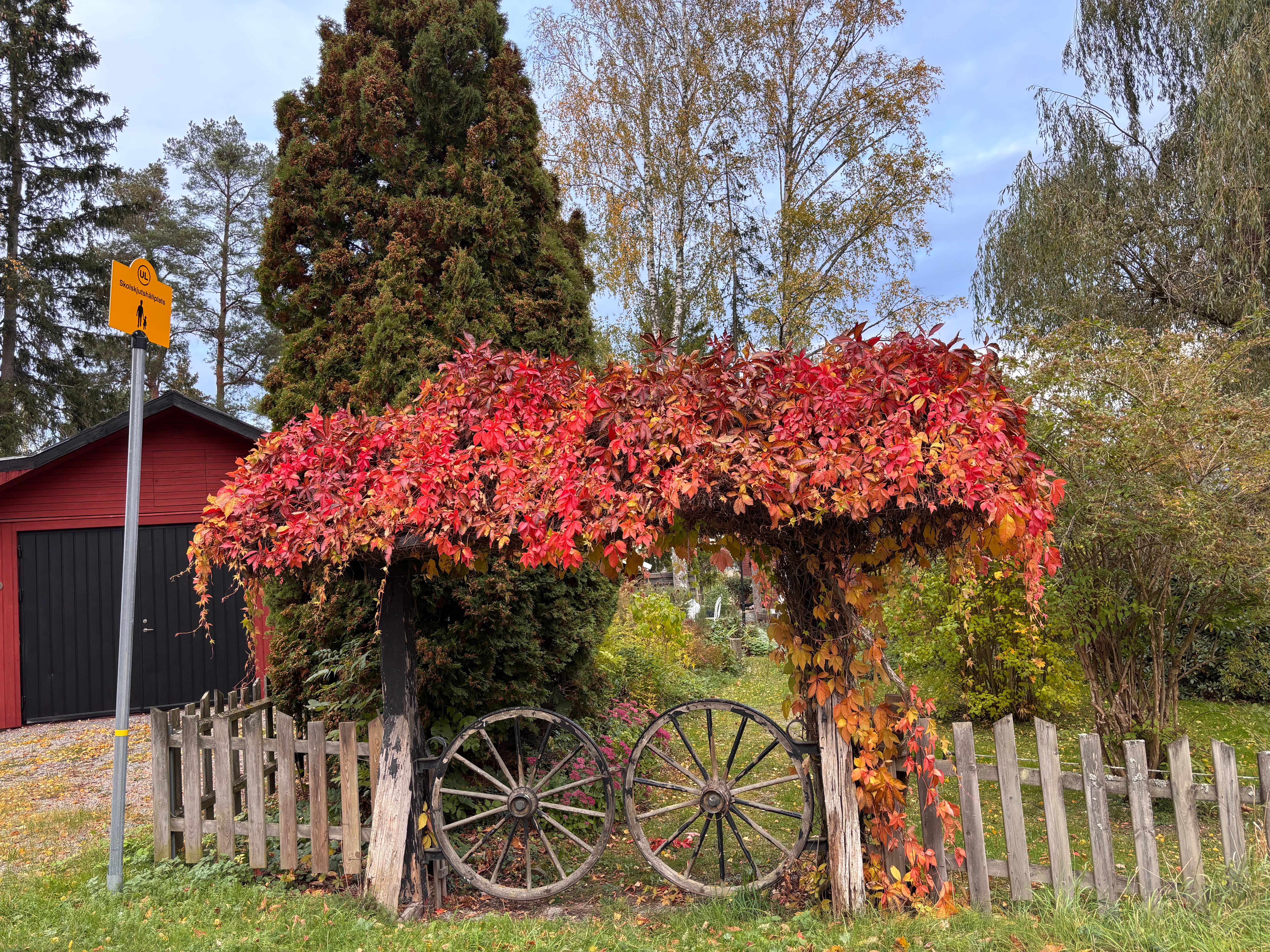 Charming garden scene with vibrant red autumn leaves and rustic wagon wheels.