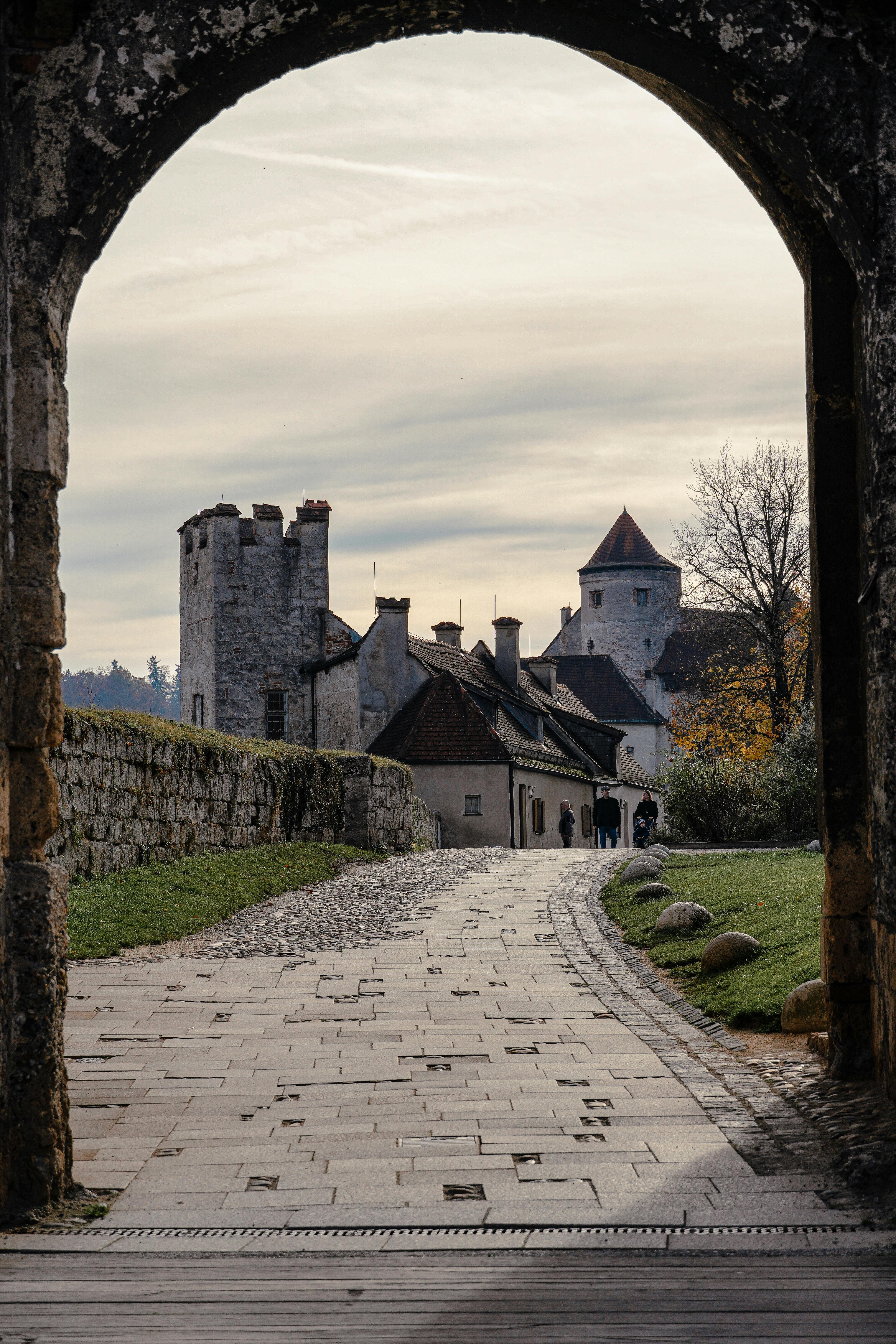 Whisky tasting event with premium single malt bottles