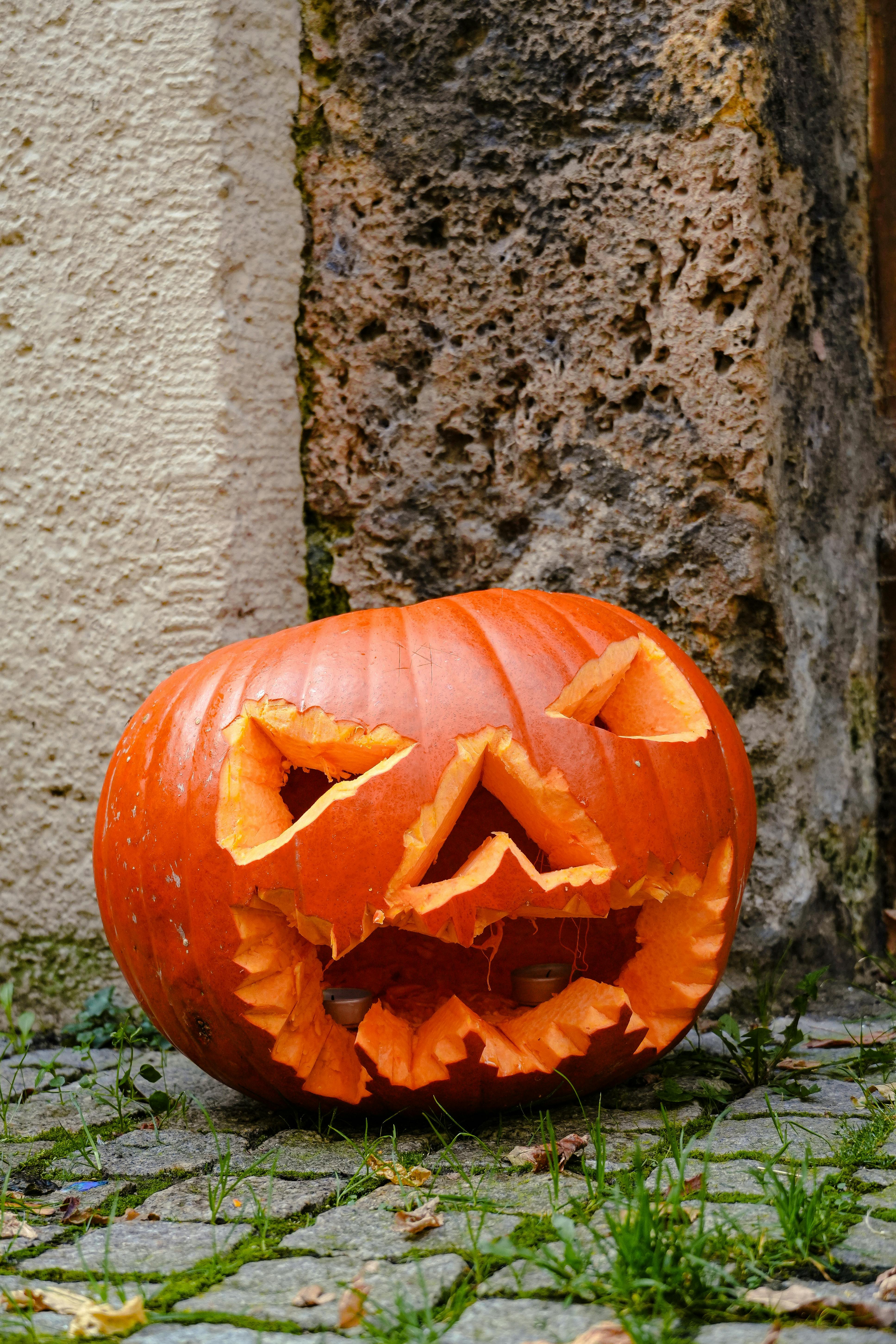 All Fre A== Photos Download The BEST Free All Fre A== Stock Photos