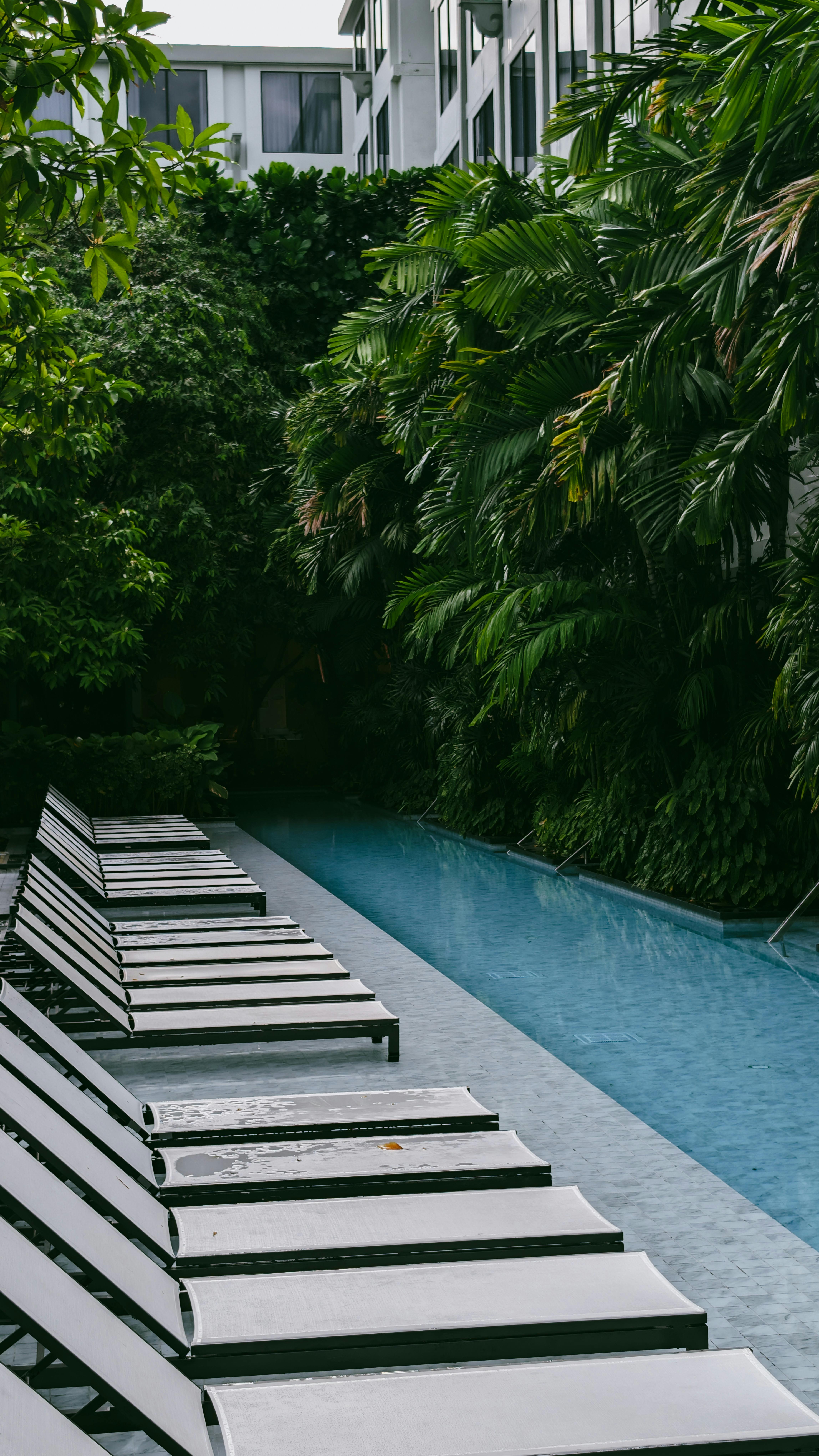 Concrete-cast Canggu boutique hotel pool with tropical greenery, one of the best boutique hotels in Bali for design lovers