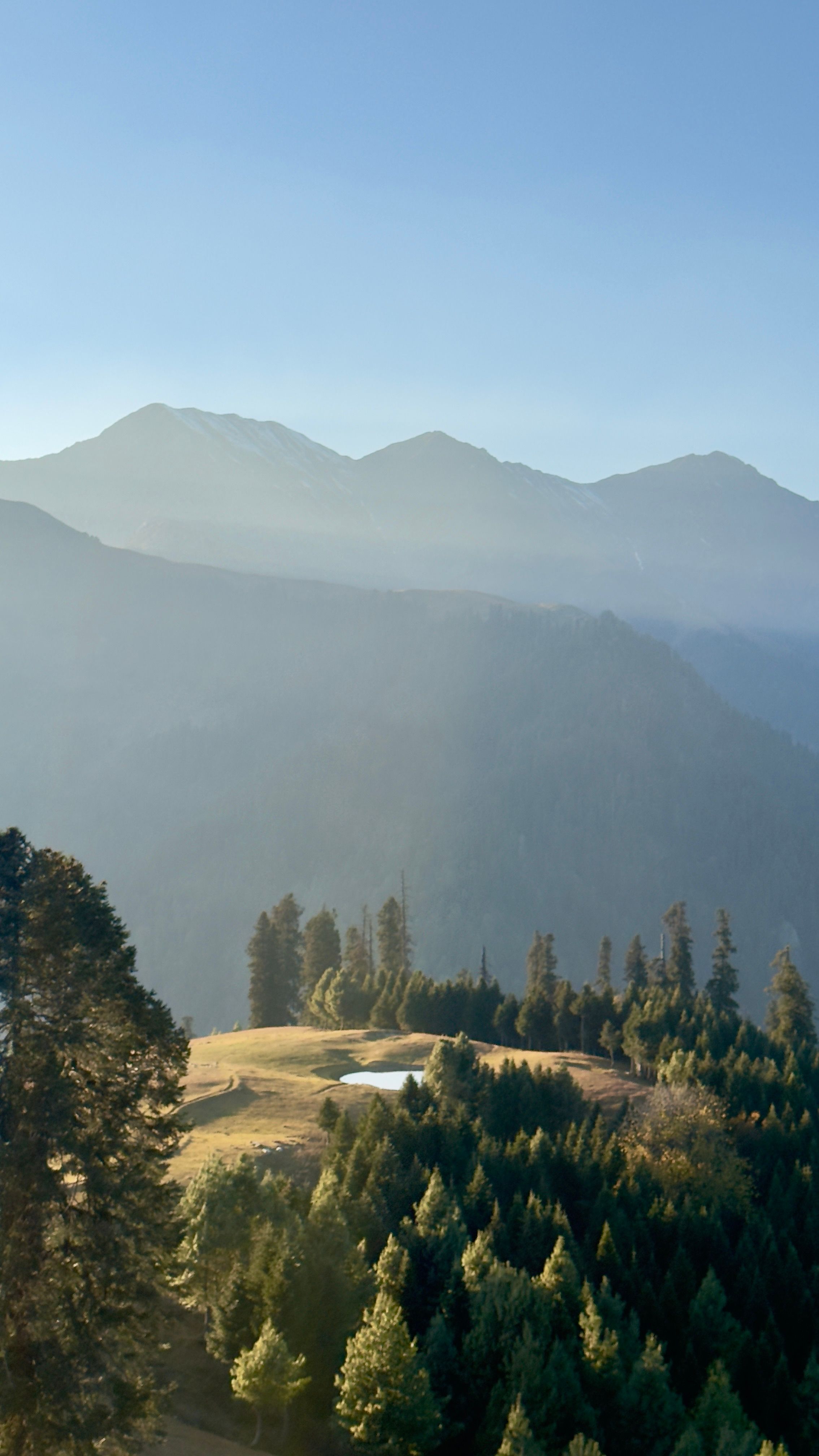 A serene mountain landscape with lush pine forest and distant peaks under a clear sky.