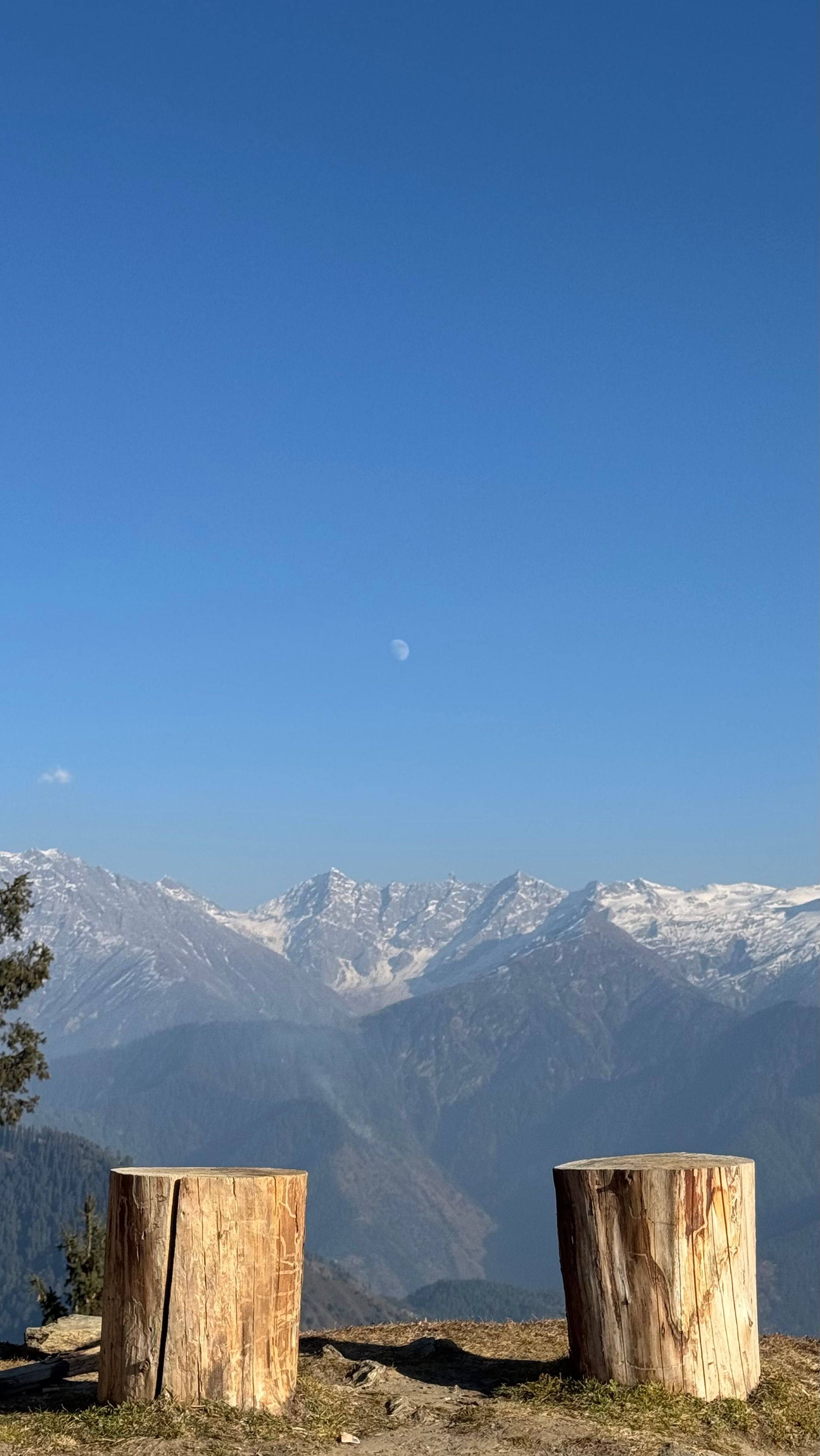 View of the majestic Himalayan mountains under a clear blue sky, with tree stumps in the foreground.