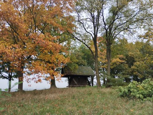 Free Picturesque autumn landscape featuring a rustic cabin in a forest with colorful fall foliage. Stock Photo