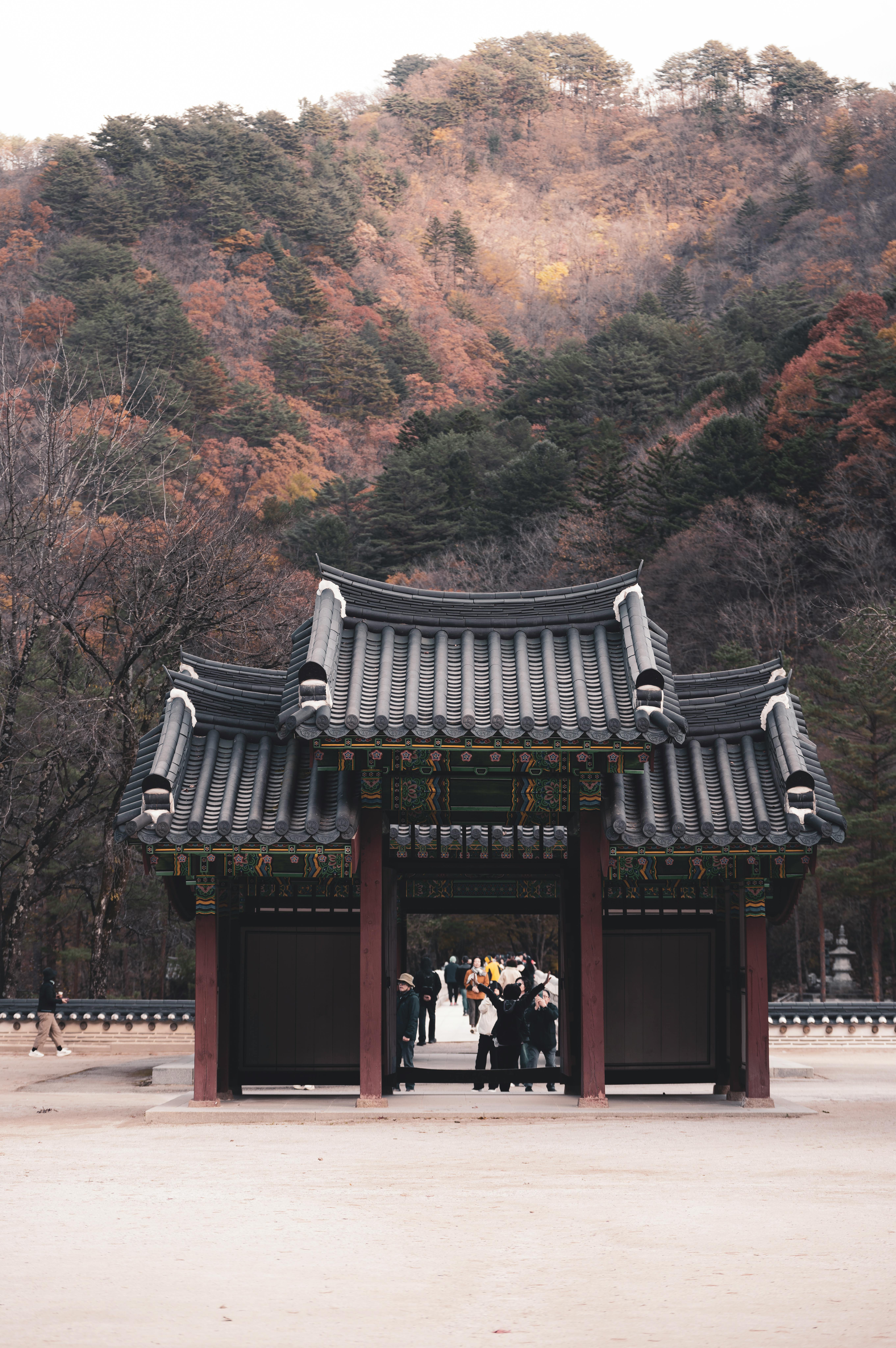 Scenic view of a traditional gate with an autumn forest backdrop, capturing cultural architecture.