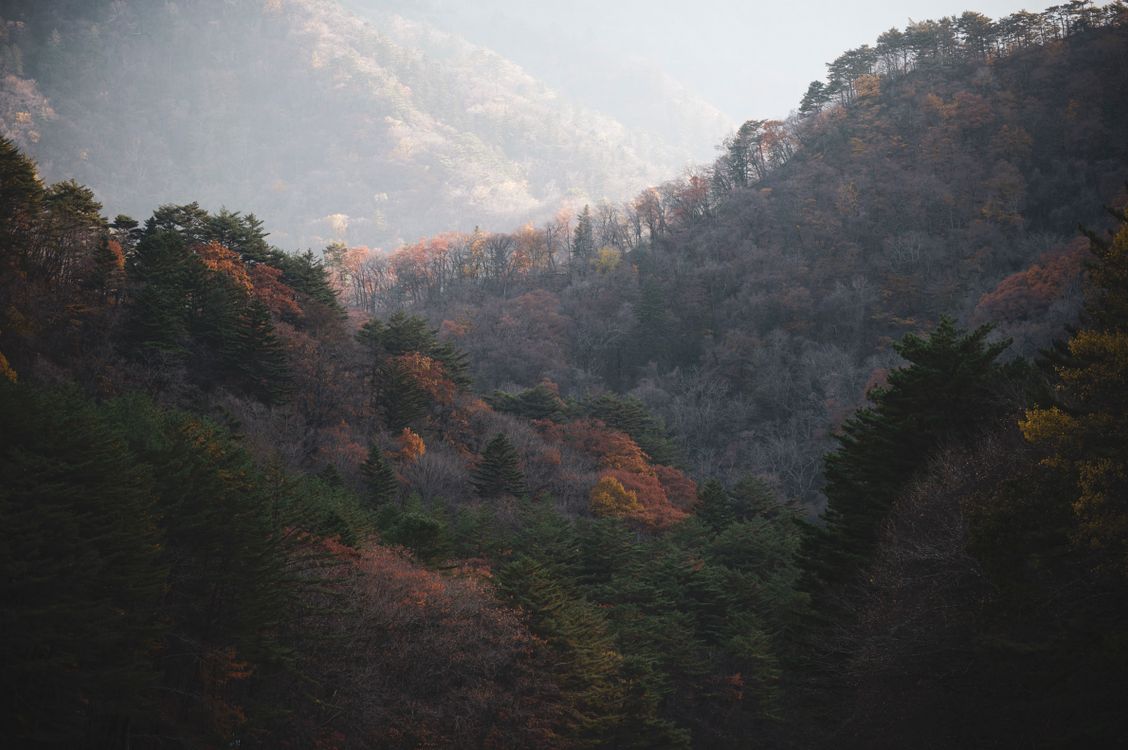 Serene Autumn Mountain Landscape · Free Stock Photo
