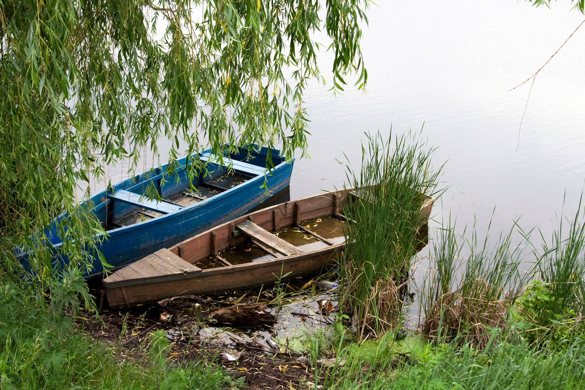 Rent a Rowing Boat on the Wieden