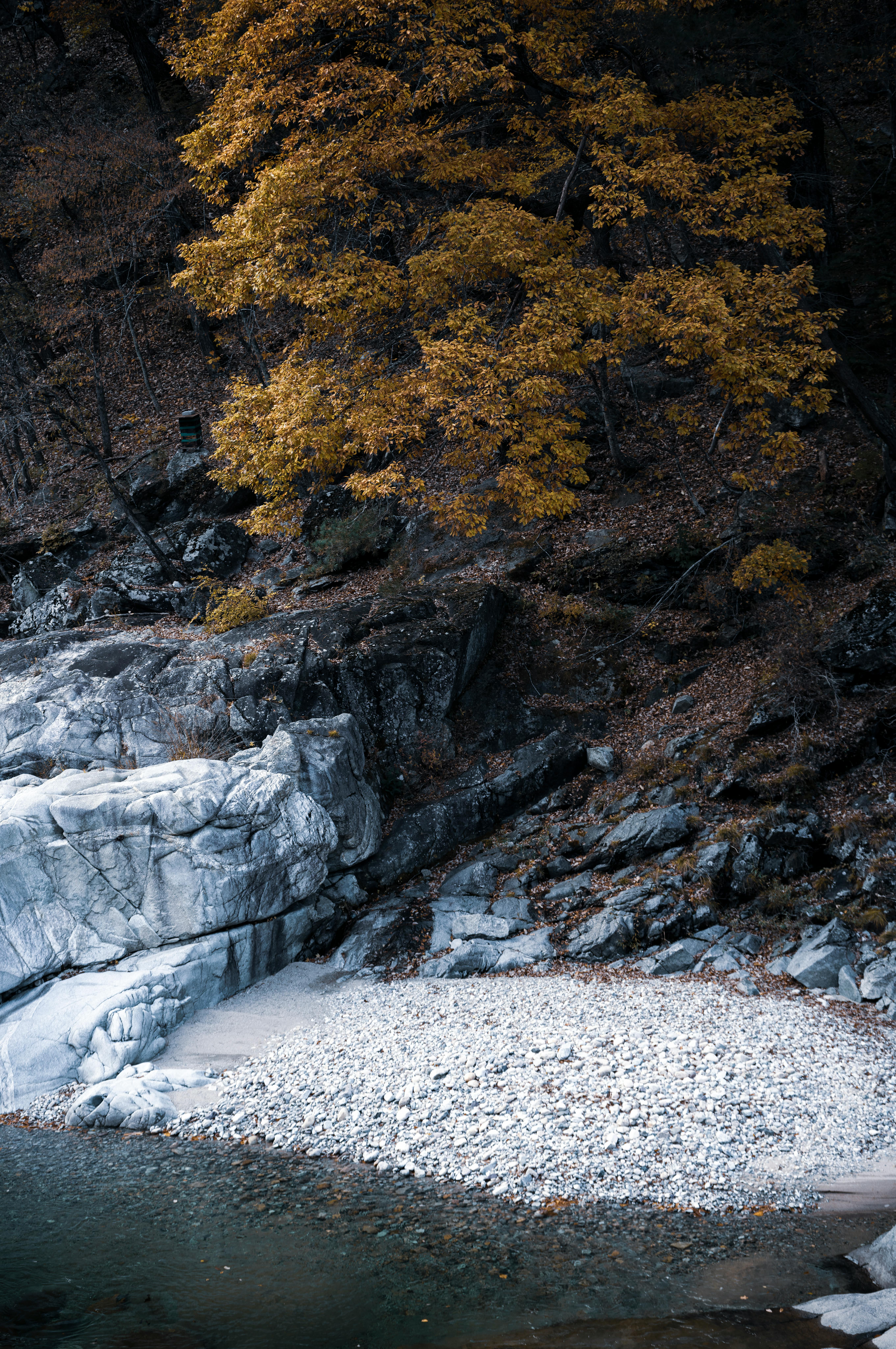 A serene autumn landscape featuring orange foliage and a rocky riverbank.