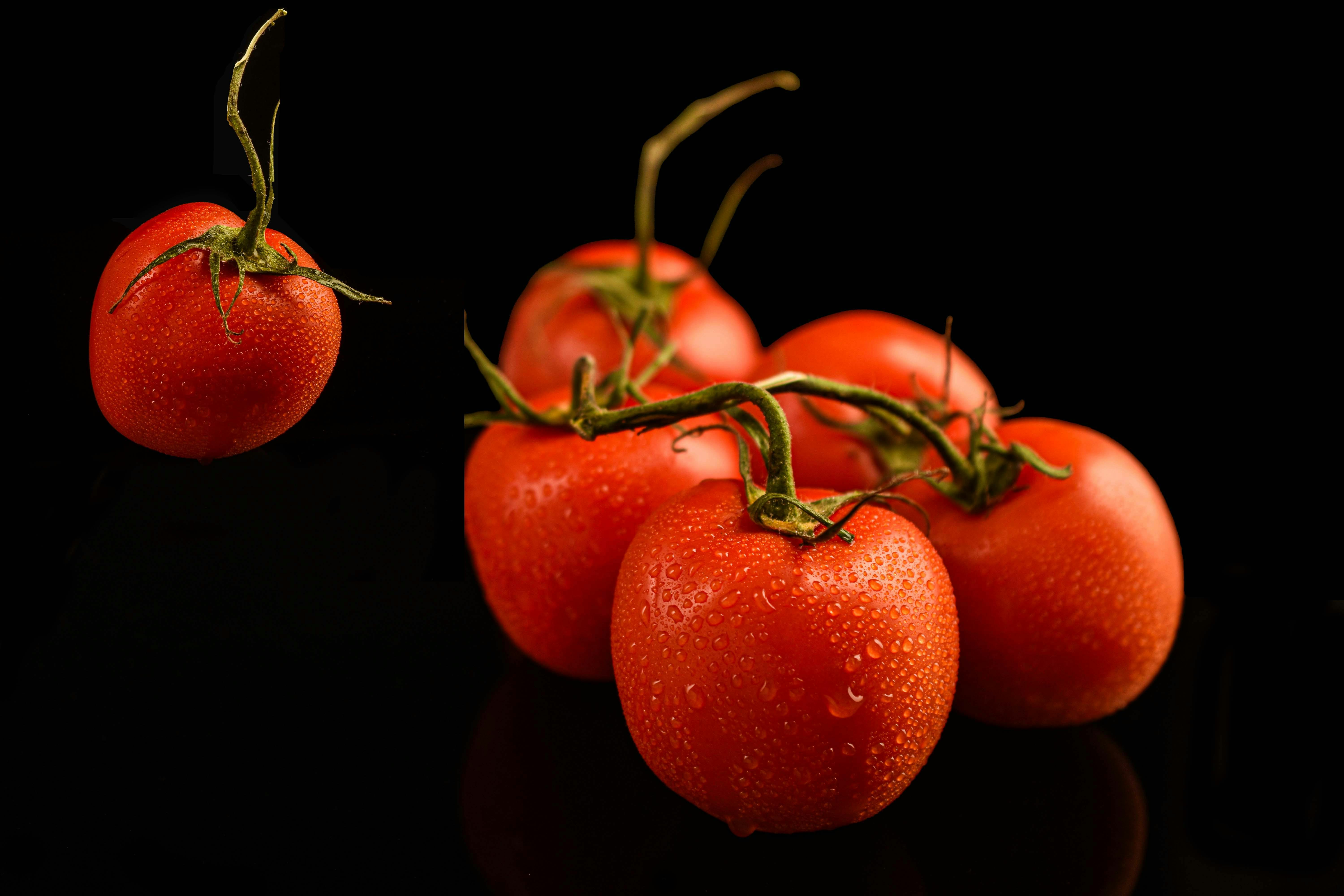 Rotten Tomatoes: Movies | TV Shows | Movie Trailers | Reviews — Photo by Ray Suarez on Pexels