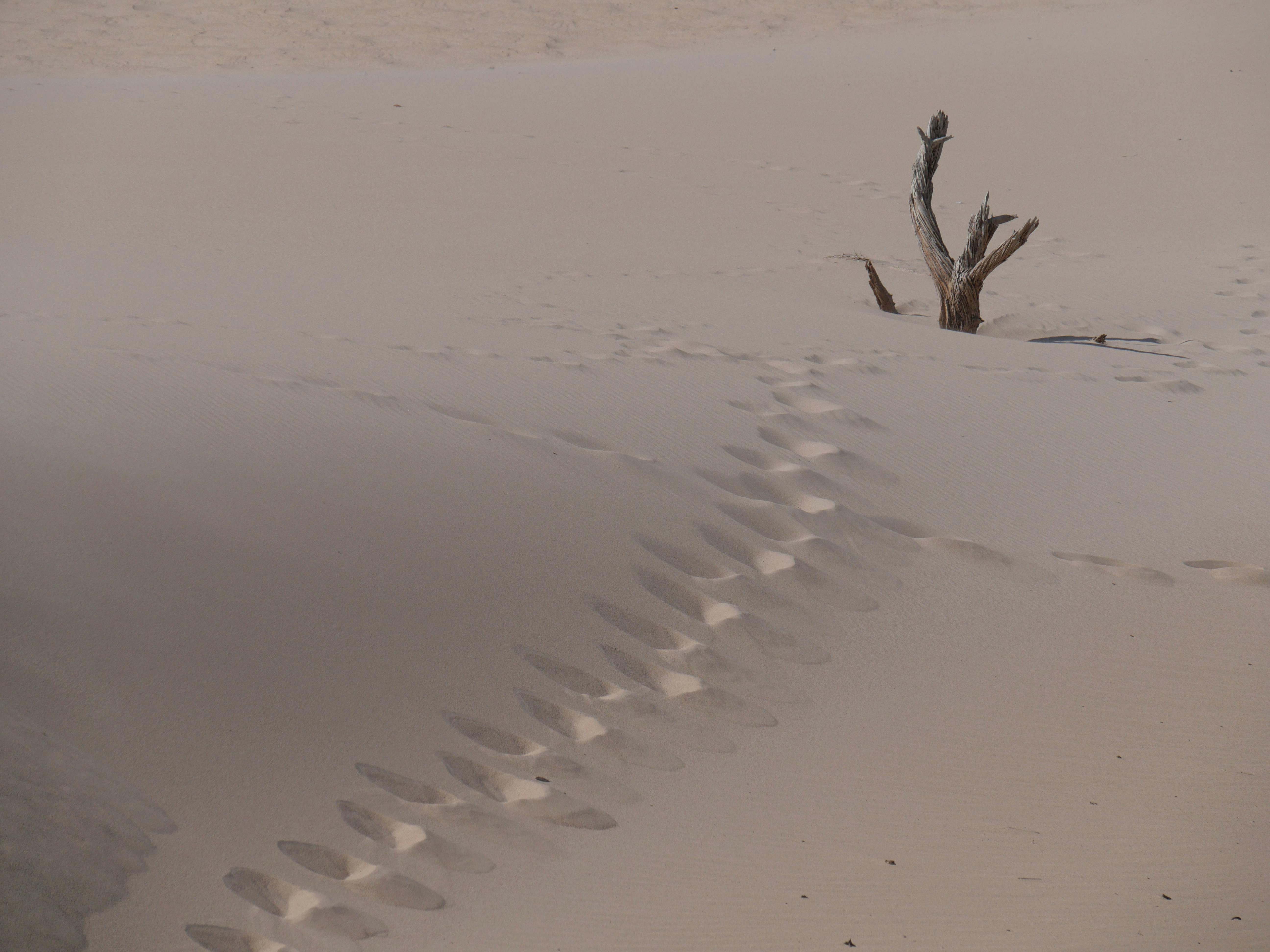 Tarifa error: Resort 4* All Inclusive por solo 56€ en Islantilla