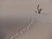 Arid landscape frame by Dirk Pothen on Pexels