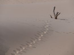 Arid landscape frame by Dirk Pothen on Pexels