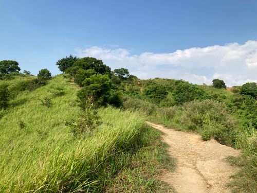 Free A vibrant green hill with a winding dirt path under a clear blue sky, perfect for nature lovers. Stock Photo