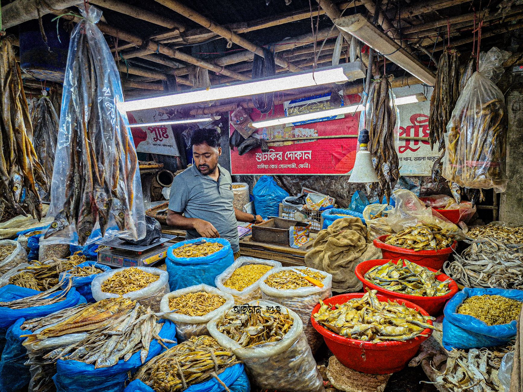 Use Color‑Coding to Spot Fresh Seafood in Local Markets