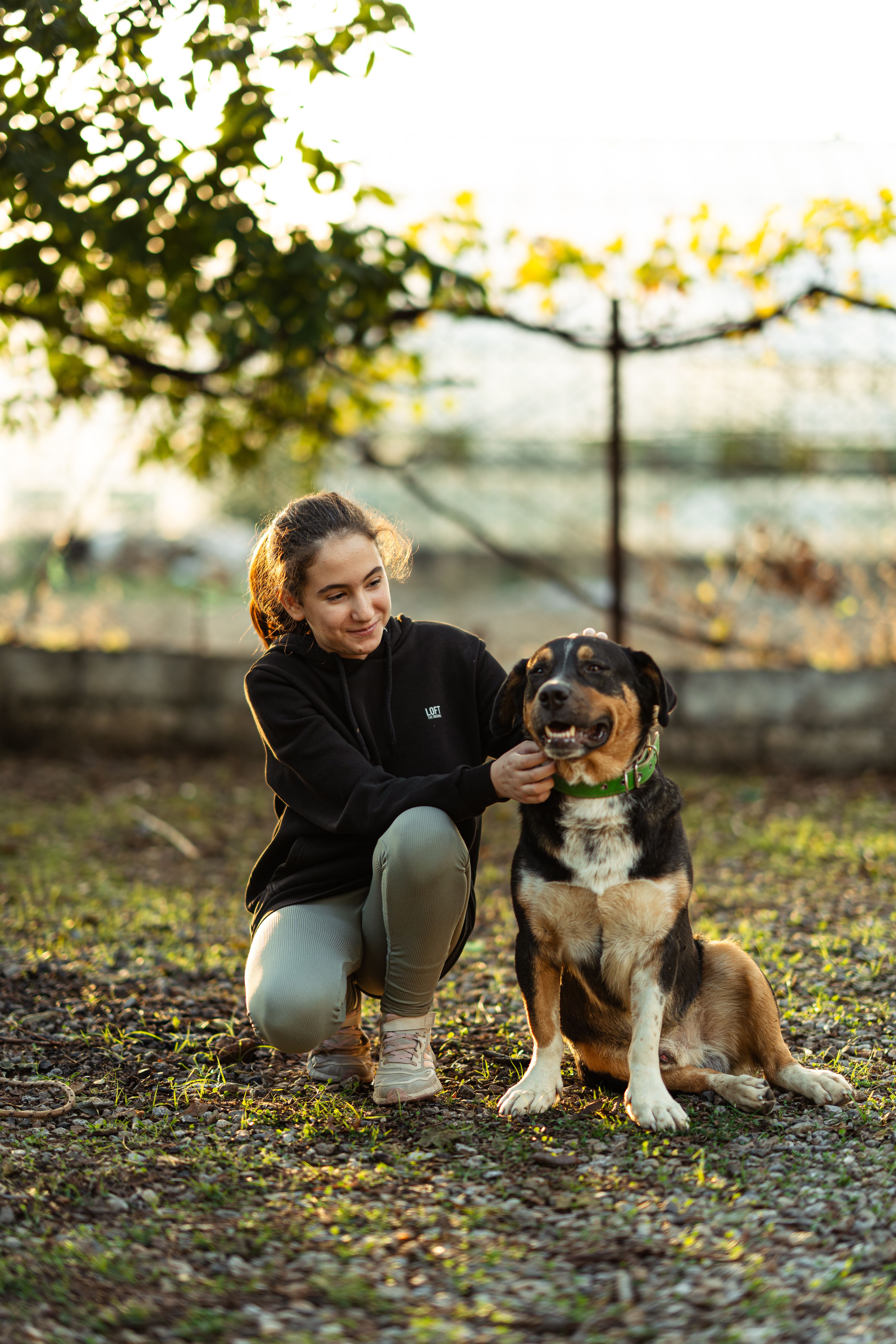 Woman calmly interacting with her dog in a natural outdoor setting
