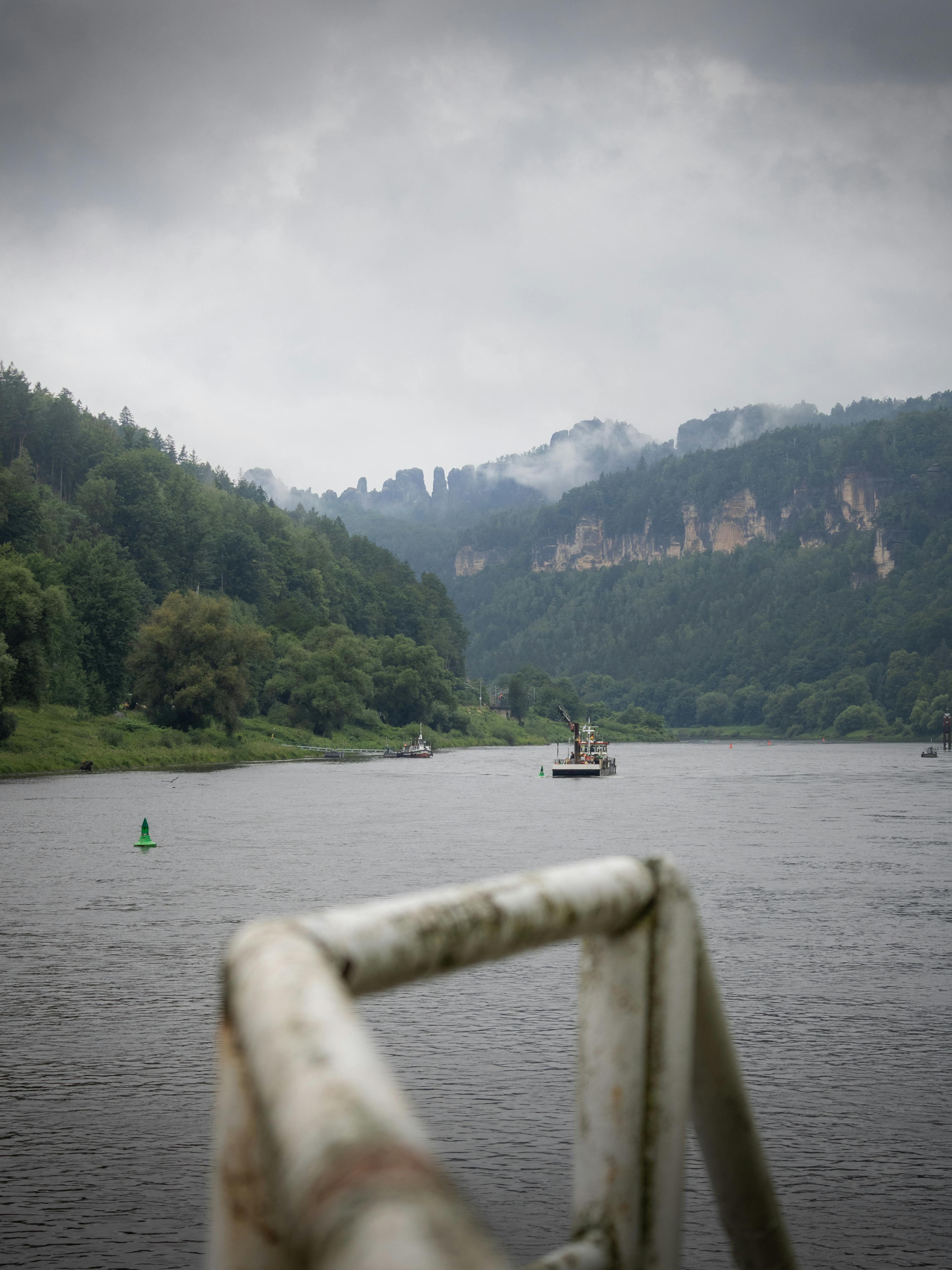 Why Do Dogs Have Wet Noses? Discover This Fascinating Fact! 8 The Role of Humidity in Your Dog's Nose: How Environment Affects Moisture Levels