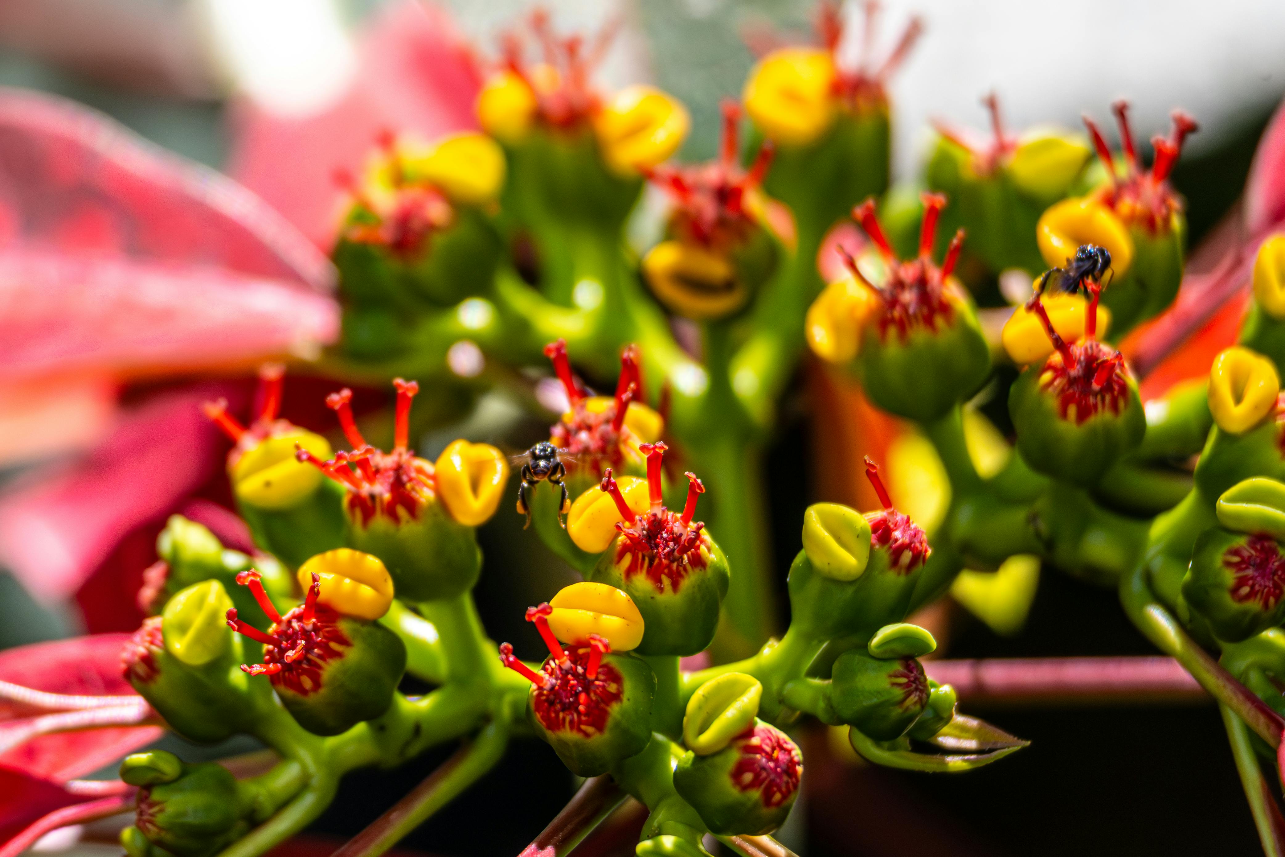 國際：中原大學可視化奈米顯微鏡勇奪2025德國紐倫堡發明展金牌