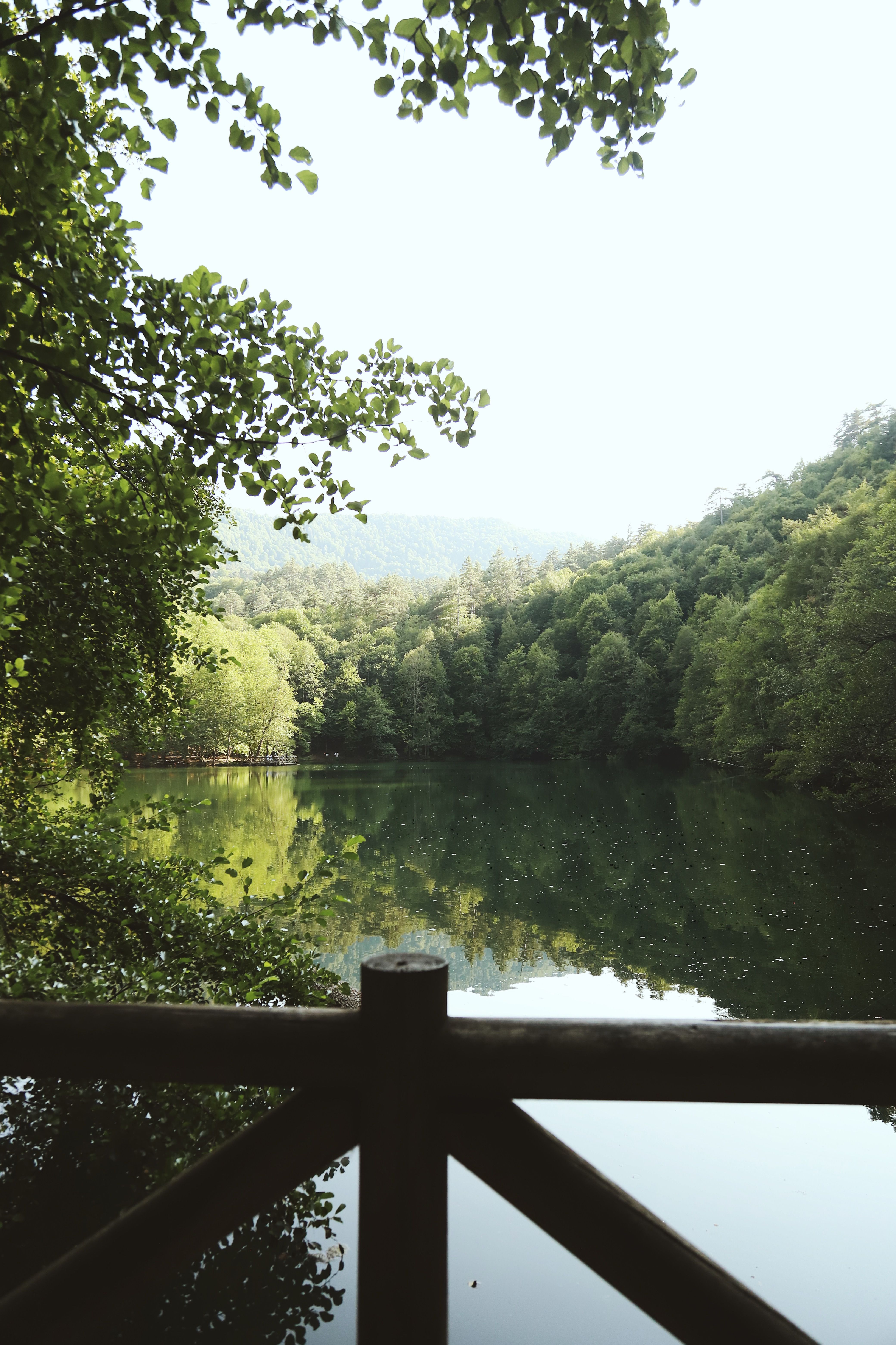 Serene Forest Lake with Wooden Fence View · Free Stock Photo