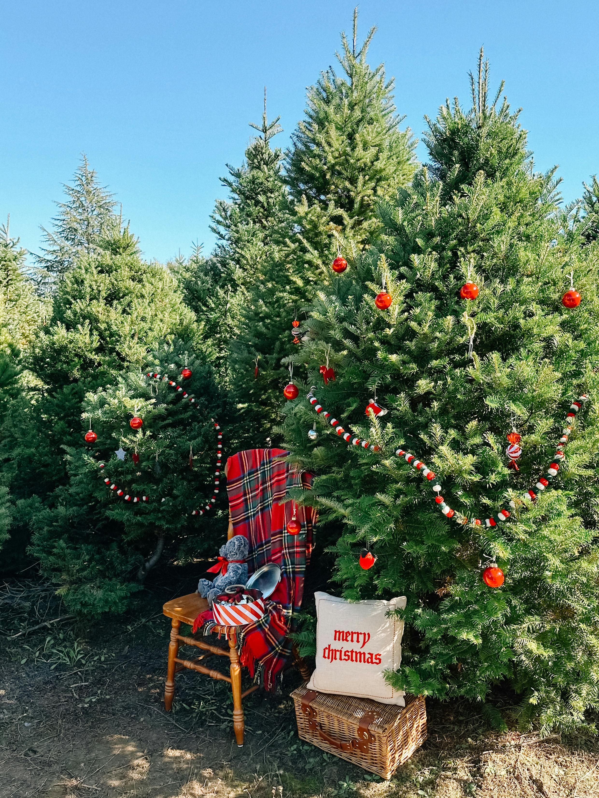 Christmas trees decorated with ornaments and festive items outdoors.