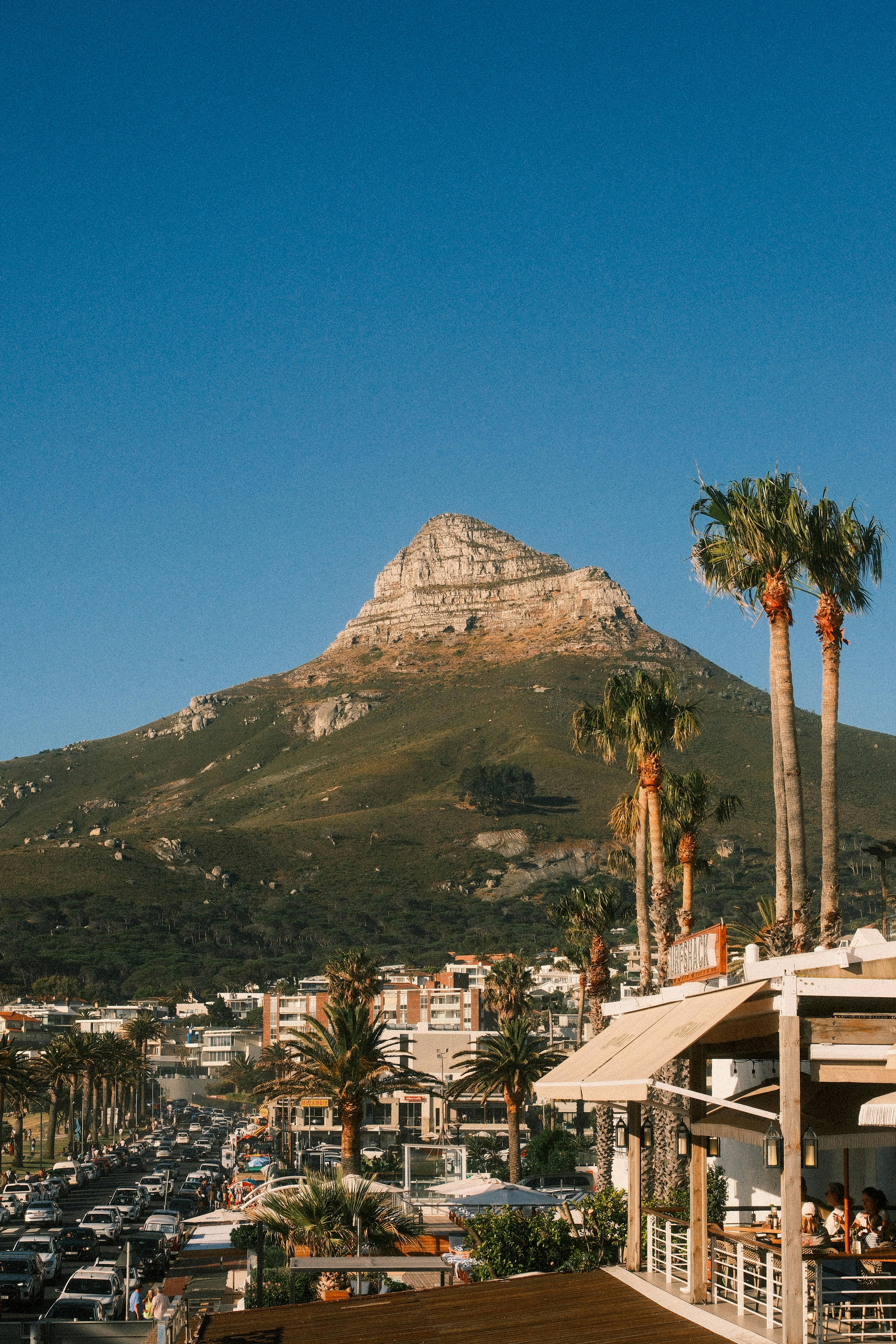 Scenic view of Lion's Head mountain with palm trees and cityscape in Cape Town, South Africa.