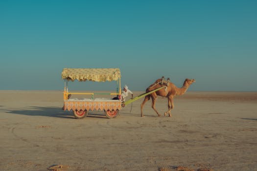 Men's Safari Clothing