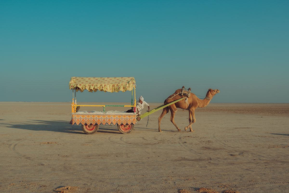 Rann of Kutch & White Desert