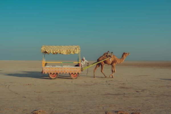 Transfer to Rann of Kutch