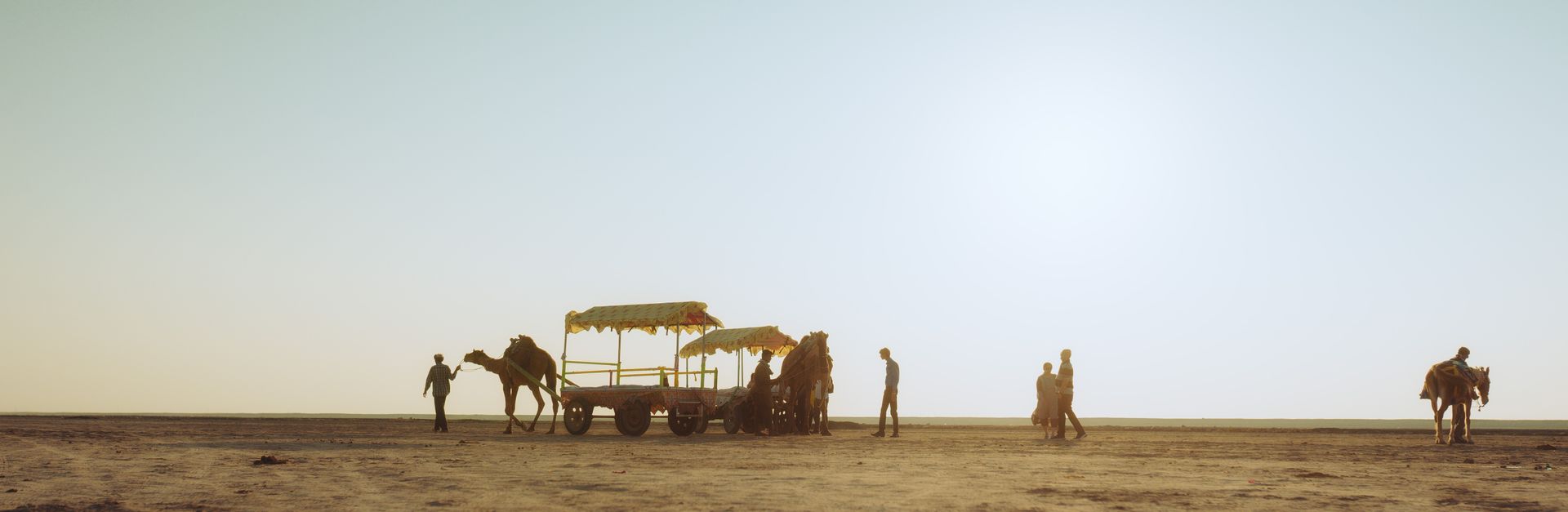 A scenic view of camel cart rides at sunset in the expansive Rann of Kutch desert, Gujarat, India.